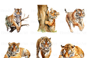 Watercolor Tiger Clipart, Tiger PNG