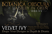 Velvet Ivy – Botanical Backgrounds |, a Background Graphic by Aga Silva (Thumbnail 6 of 9)