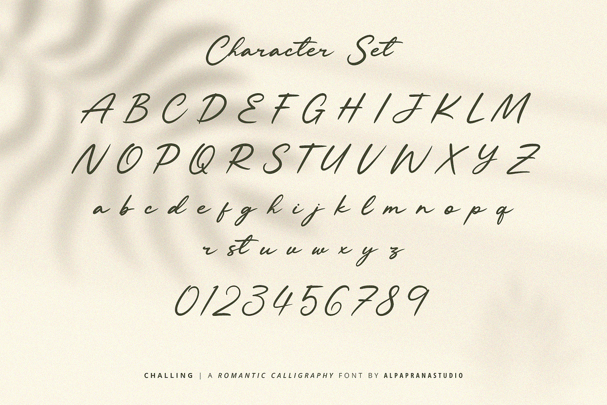 Challing - Romantic Calligraphy Font, a Script Font by Alpaprana (Photo 10 of 12)