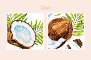 Coconut. Watercolor., a Decorative Illustration by Ekaterina Mikheeva (Thumbnail 5 of 5)
