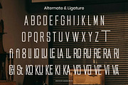 Ravente - Retro Serif Font, a Serif Font by Flawless And Co (Thumbnail 9 of 10)