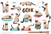Cartoon cats clipart set, an Animal Illustration by pet design shop (Thumbnail 2 of 12)