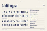 Montaire - Old Money Serif, a Serif Font by HipFonts (Thumbnail 20 of 20)