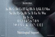 Minims - Serif Retro Family Series, a Serif Font by Flawless And Co (Thumbnail 10 of 11)
