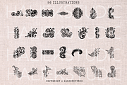 Filigree SVG Illustrations, a Decorative Illustration by HalieKStudio (Thumbnail 3 of 8)