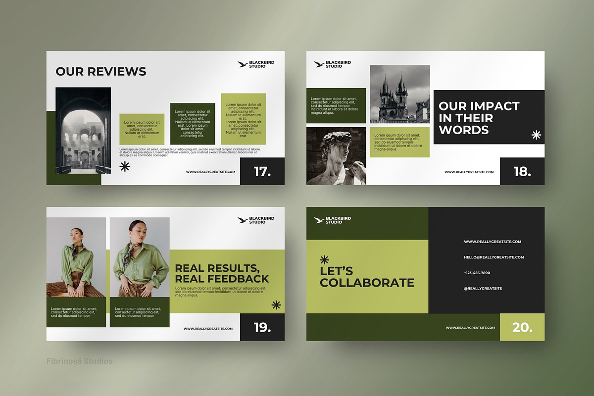 BlackBird - Business Pitch Deck preview 3