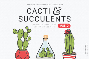Cacti & Succulents Graphics Bundle 2