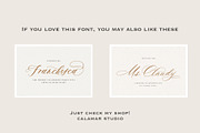 Saint Viet | Calligraphy Font, a Script Font by Calamar Studio (Thumbnail 29 of 29)