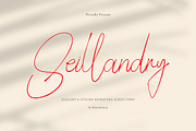 Seillandry Modern Elegant Signature, a Handwritten Font by BrandSemut (Thumbnail 1 of 10)