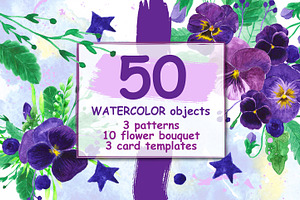 Watercolor purple Pansy flowers.