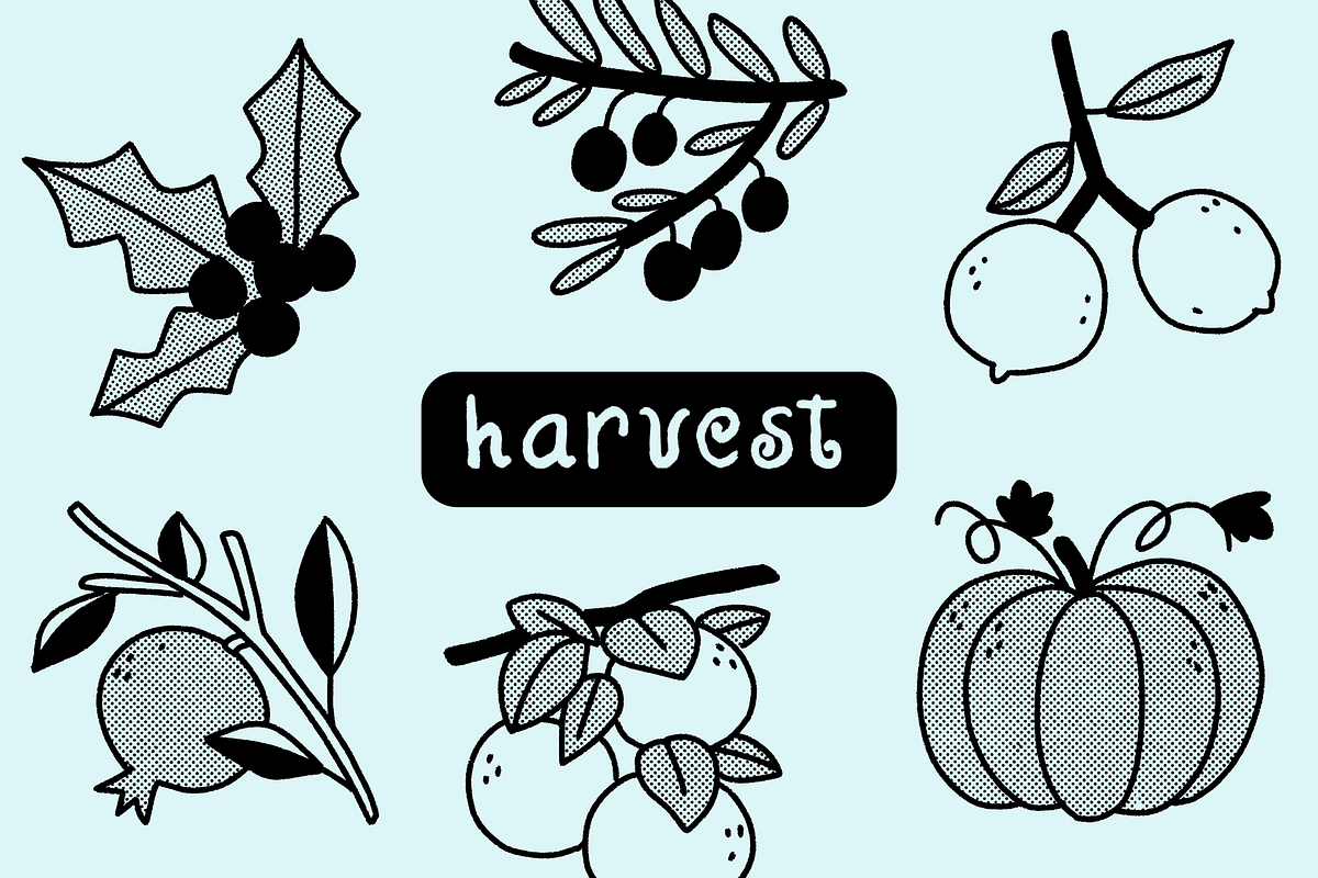 Imperfect Botany: Hand-Drawn Florals, a Decorative Illustration by Iris Atelier (Photo 6 of 7)