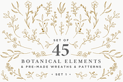 Botanical Elements Set 1, an Illustration by CojoMoxon (Thumbnail 1 of 9)