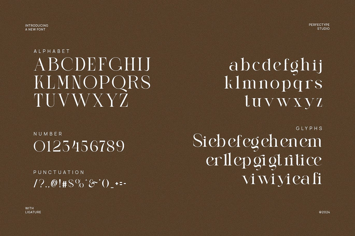 Anxler - Classy Serif Font, a Serif Font by Luna Shop (Photo 3 of 6)