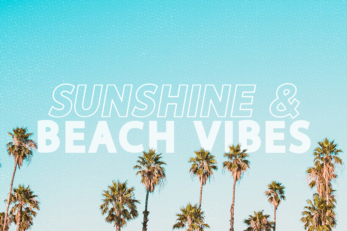 Dustin Sans Font Family preview 3