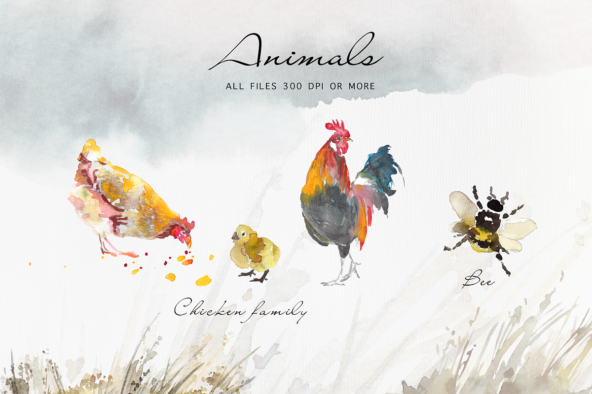 Farm Life watercolour set, an Object Graphic by Splash! (Photo 2 of 5)