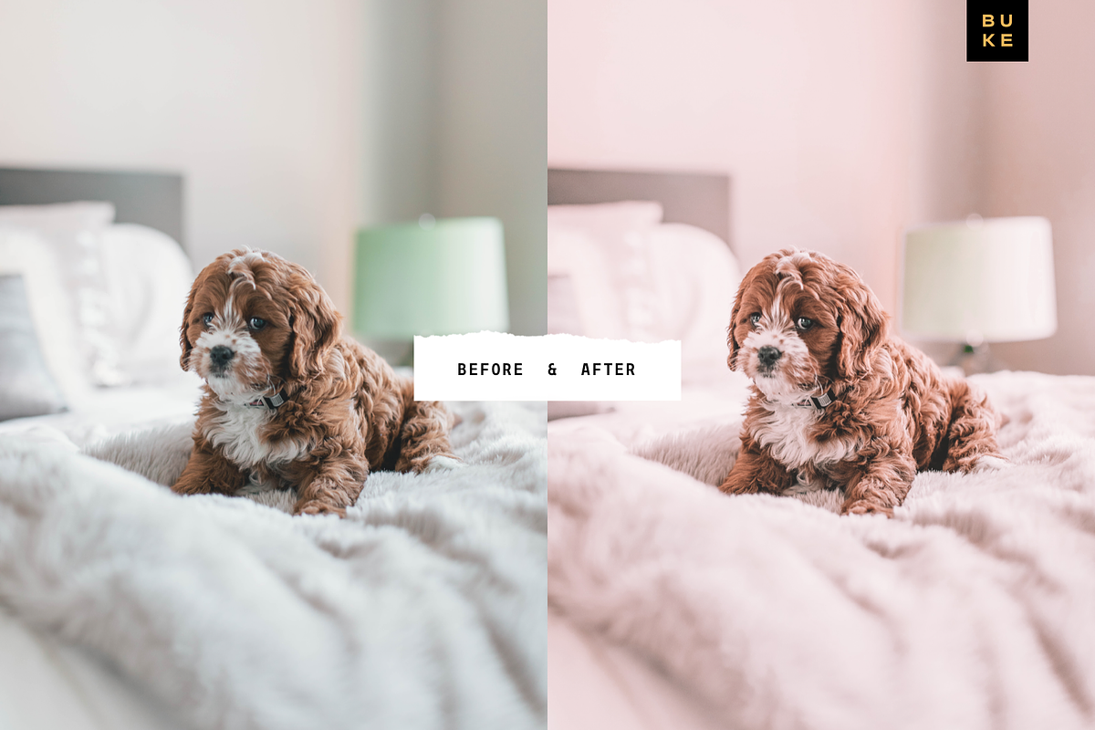 Candy Rose Lightroom Presets Bundle, a Preset Add-On by SHOOM HOUSE (Photo 10 of 11)