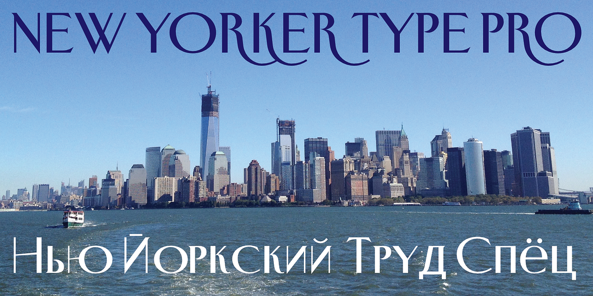 New Yorker Type Pro, a Serif Font by Wiescher-Design (Photo 3 of 8)