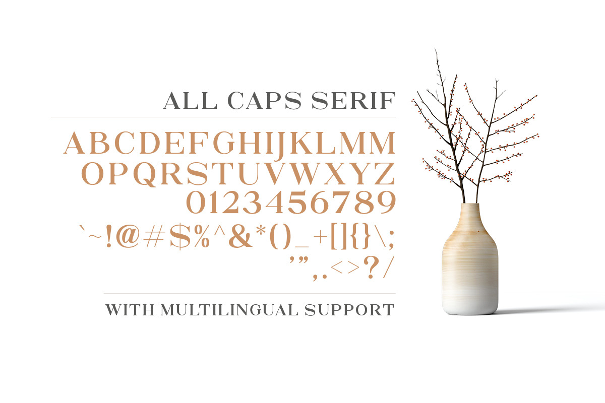 North Avellion - Script & Serif Duo, a Serif Font by Letterhend Studio (Photo 9 of 10)