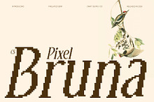 CS Bruna Pixel