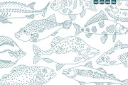 Seafood & Fish Vector Pack, an Animal Illustration by Ilia Design (Thumbnail 8 of 10)