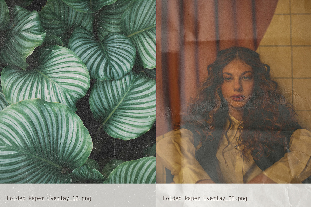 Folded: Paper Crease Overlays, a Texture Graphic by Anastasiia VNSK (Photo 13 of 19)