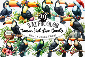 Watercolor toucan bird clipart, an Illustration by Designking