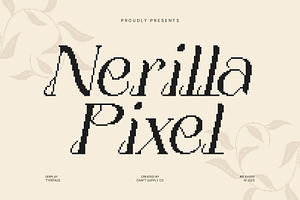 Nerilla Pixel, a Serif Font by Craft Supply Co.