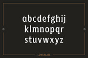 American Spirit – Vintage Serif Font, a Serif Font by Creative Type (Thumbnail 5 of 7)