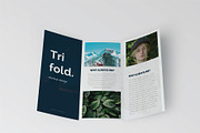 Trifold Brochure Mock-Up Set, a Print Template by Mockstore (Thumbnail 6 of 11)