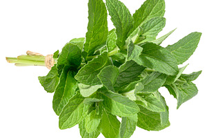 Mint sprigs tied with rope on isolated background, a Food & Drink Photo by ndanko