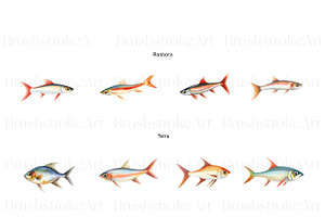 Tropical Fish Clipart, Betta, Guppy