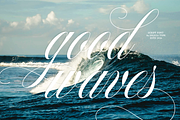 Francy Tiguan | Classy Script Font, a Script Font by Jolicia Type (Thumbnail 8 of 12)