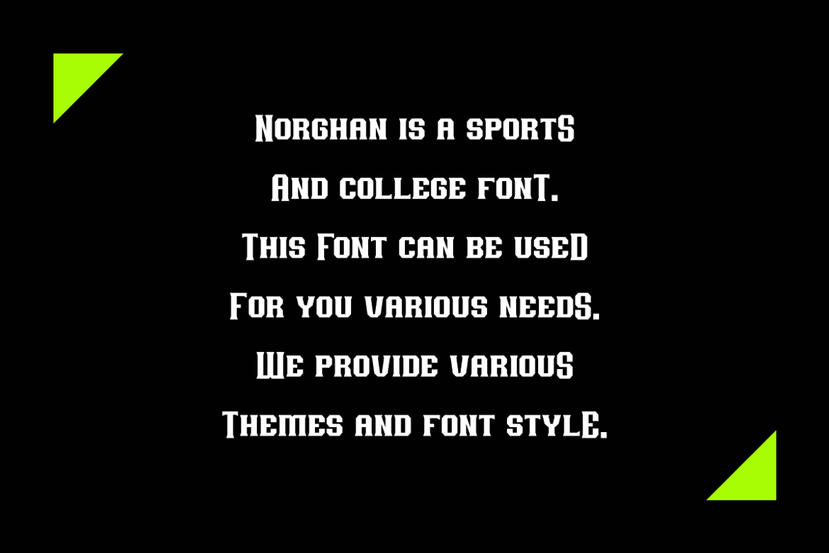 Norghan - College Font, a Serif Font by Iqsiart Studio (Photo 4 of 6)
