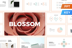 Blossom Presentation Template, a Presentation Template by SlideStation