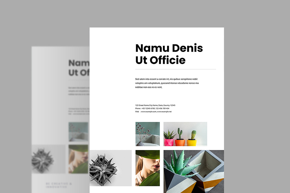 Minimalist Protfolio 3in 1 Flyer, a Flyer Template by evgenystudio (Photo 2 of 3)