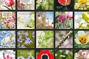 Flower Therapy Instagram Posts, a Social Media Template by minersgold (Thumbnail 3 of 7)