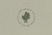 Delicate paper textures, a Texture Graphic by TheMountBirdStudio (Thumbnail 8 of 9)