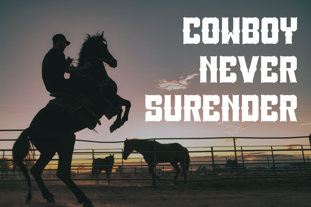Royal Coboys - Western Font, a Serif Font by QR Design Studio (Photo 3 of 6)