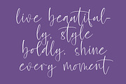 Flower Blossom, a Script Font by operatype.co (Thumbnail 4 of 15)