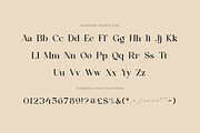 Aesthetiva - Elegant Serif Font, a Serif Font by RockboyStd (Thumbnail 9 of 12)