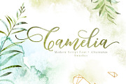Camelia Script, a Script Font by Fargun Studio (Thumbnail 1 of 14)