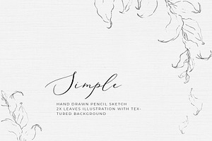 Pencil Sketch Leaves Illustration