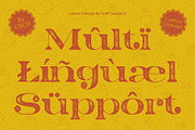 Lamna Vintage, a Sans Serif Font by Craft Supply Co. (Thumbnail 2 of 8)