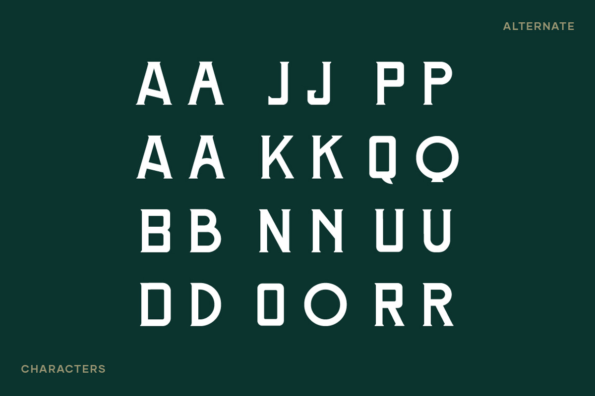Rattlesnake - Vintage Serif Font, a Serif Font by Creative Type (Photo 9 of 13)