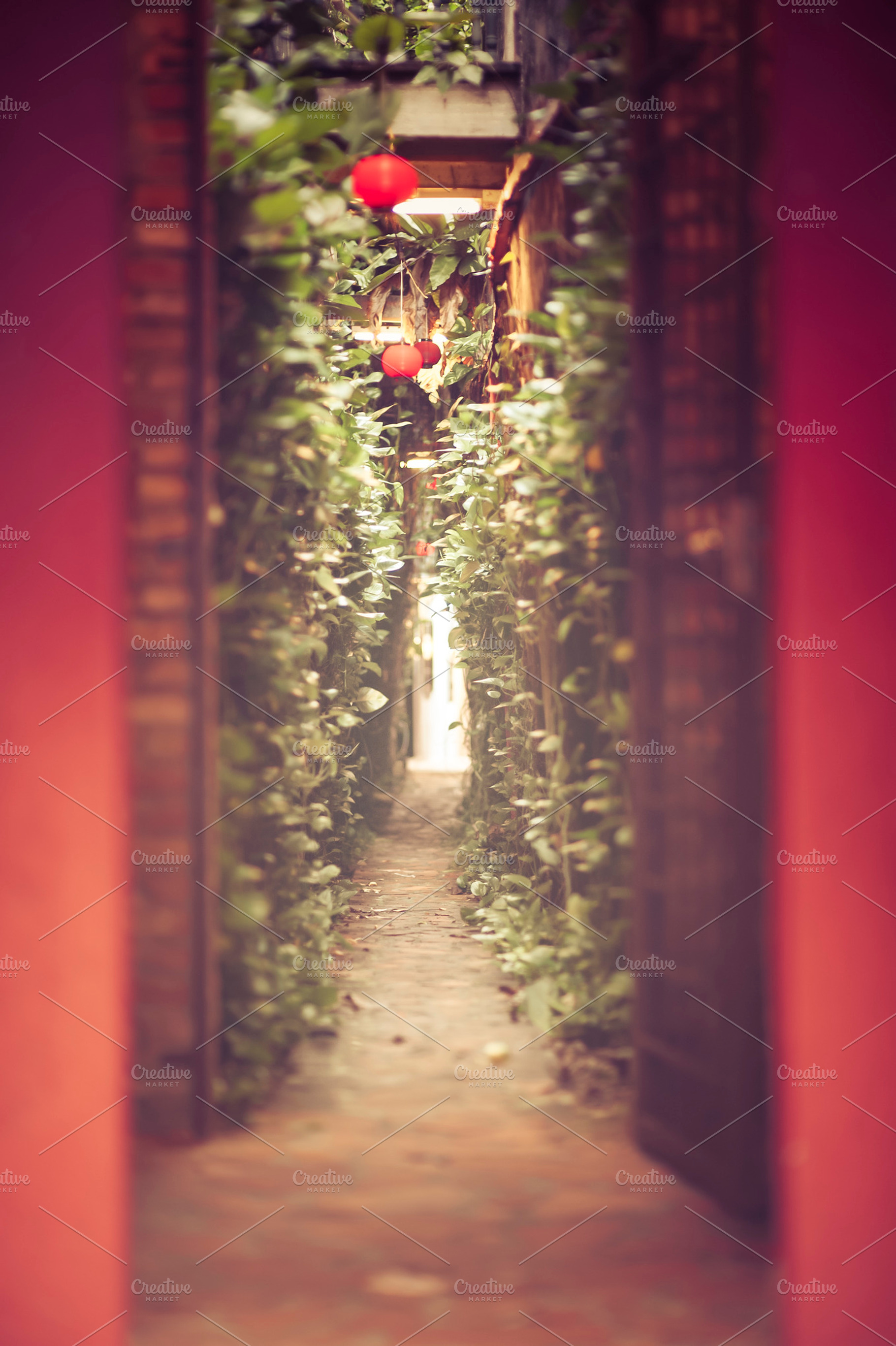 The spiritual path, an Abstract Photo by The Image Shop