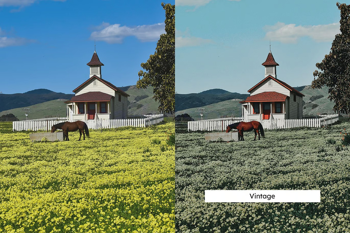 20 Meadow Lightroom Presets and LUTs, a Preset Add-On by Hubzway (Photo 5 of 10)