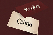 Costa Nova || display Ligature serif, a Serif Font by ToniStudio (Thumbnail 3 of 12)