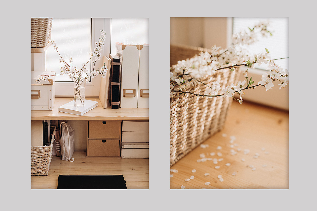 Spring Blossom Bundle, a Nature Photo by akovtun (Photo 3 of 6)