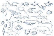 Vector sea creatures, an Object Graphic by CARROTDESIGN (Thumbnail 3 of 6)