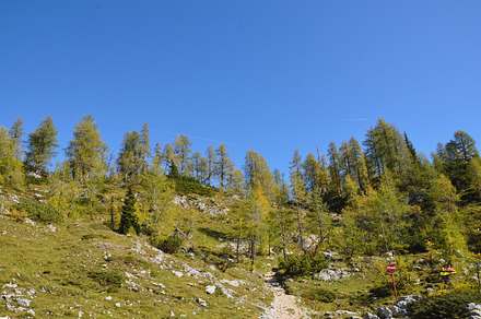 Beautiful Autumn Landscape Forest Containing Autumn Leaves And Leaf preview 5